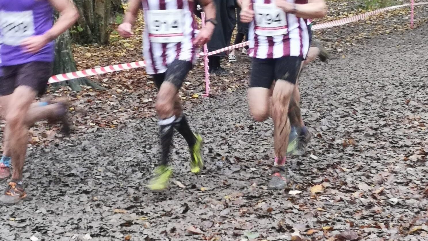 Cross Country survey follow-up